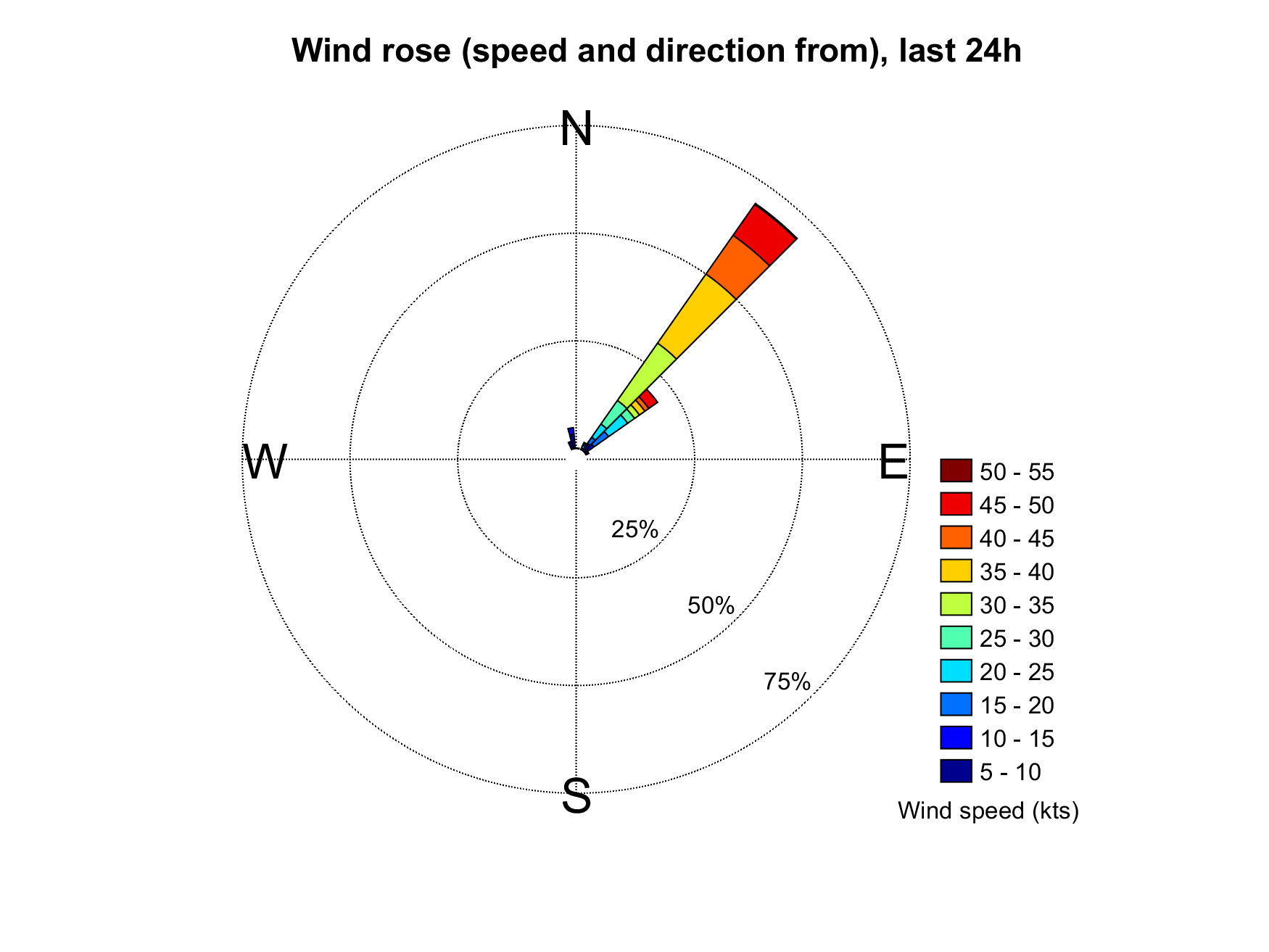 Wind rose